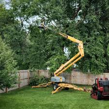 Best Emergency Tree Removal  in Price, UT