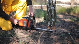 Lawn Drainage Solutions in Price, UT